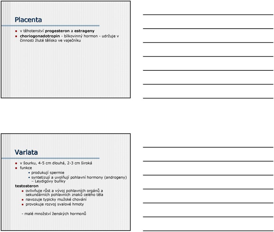 pohlavní hormony (androgeny) Leydigovy buňky testosteron ovlivňuje růst a vývoj pohlavních orgánů a sekundárních
