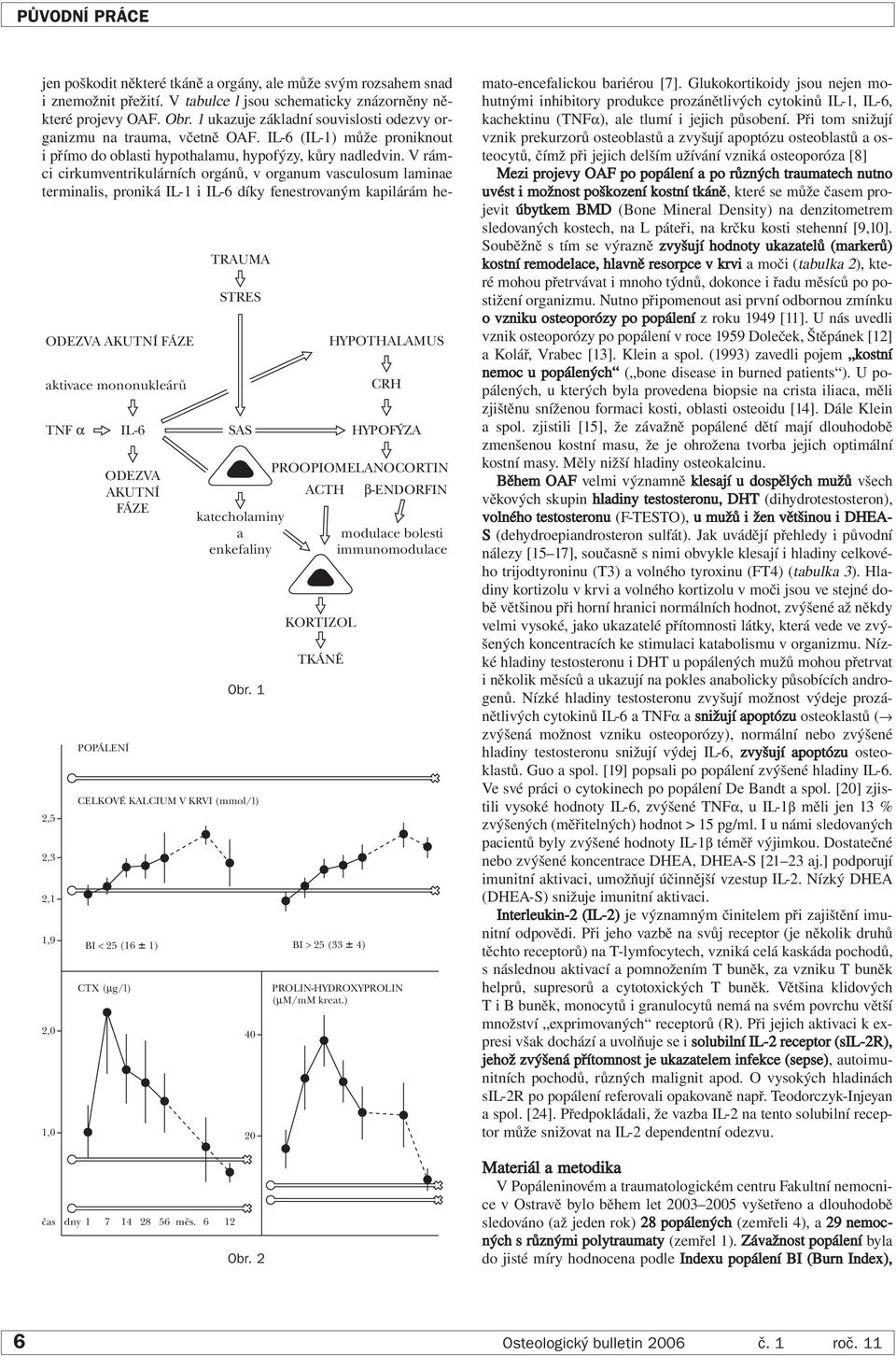 PROLIN-HYDROXYPROLIN (µm/mm kreat.) jen poškodit některé tkáně a orgány, ale může svým rozsahem snad i znemožnit přežití. V tabulce l jsou schematicky znázorněny některé projevy OAF. Obr.