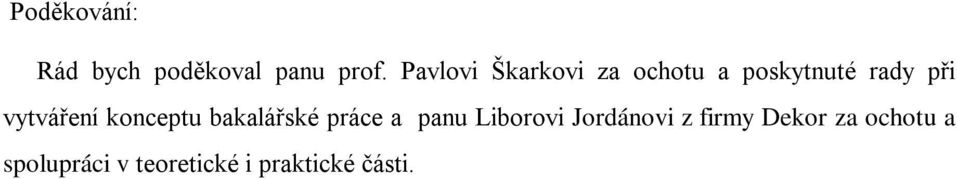 vytváření konceptu bakalářské práce a panu Liborovi