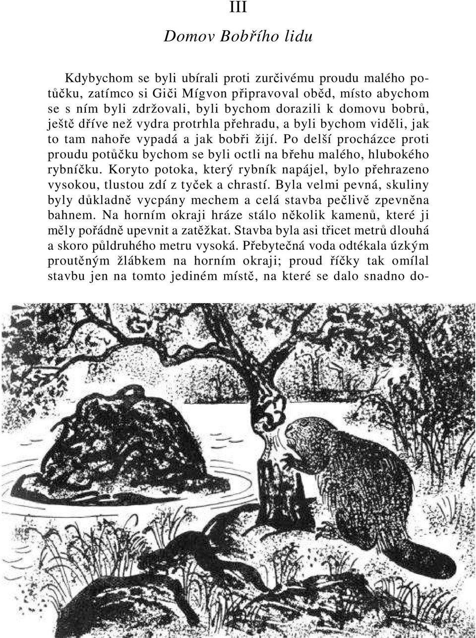 Po delší procházce proti proudu potůčku bychom se byli octli na břehu malého, hlubokého rybníčku. Koryto potoka, který rybník napájel, bylo přehrazeno vysokou, tlustou zdí z tyček a chrastí.