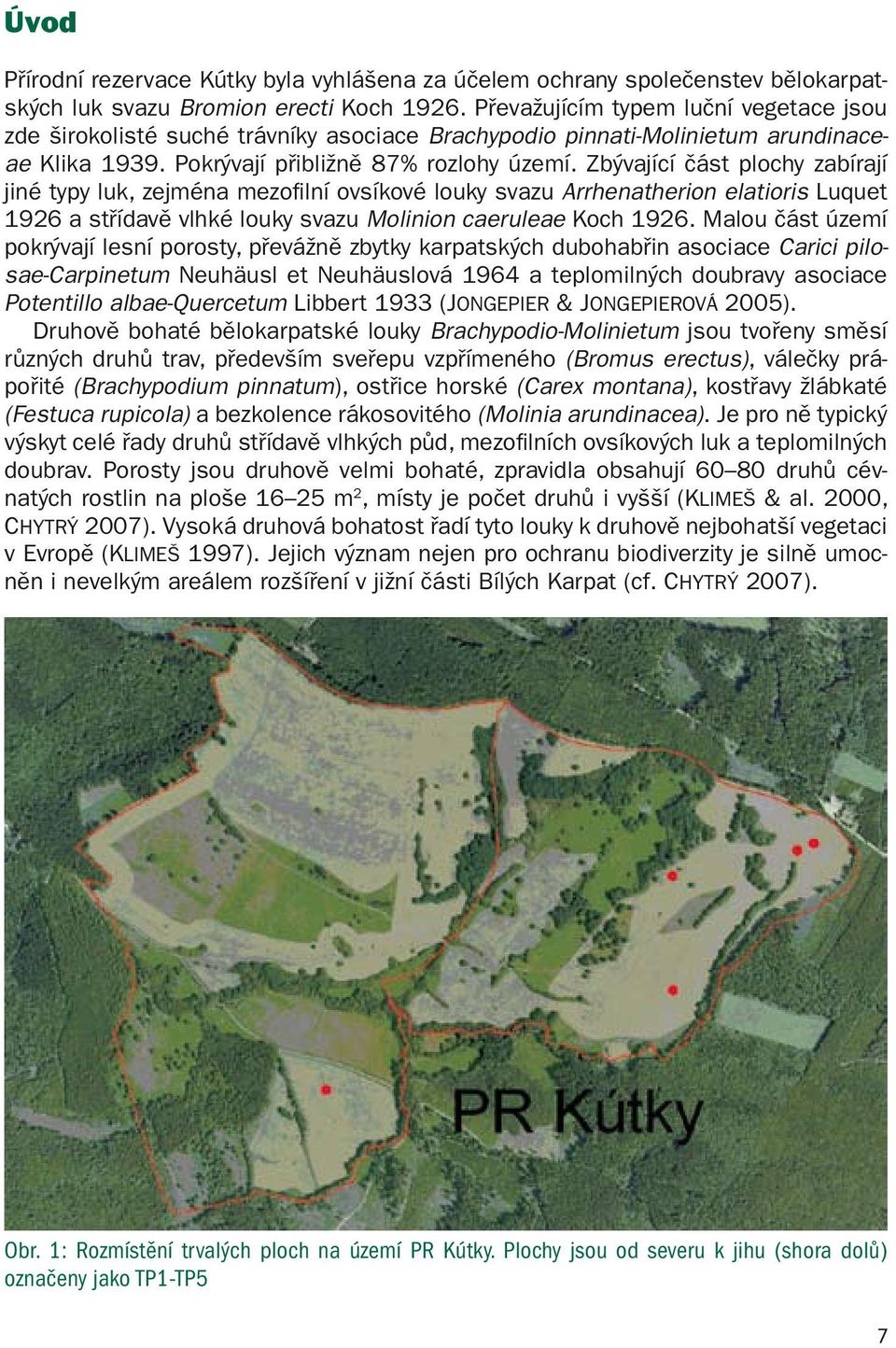 Zbývající část plochy zabírají jiné typy luk, zejména mezofilní ovsíkové louky svazu Arrhenatherion elatioris Luquet 1926 a střídavě vlhké louky svazu Molinion caeruleae Koch 1926.