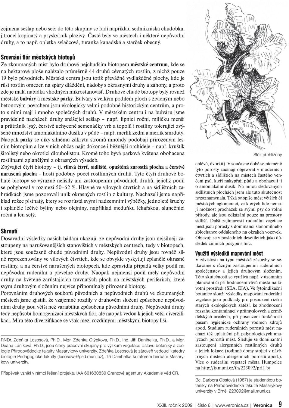 Srovnání fl ór městských biotopů Ze zkoumaných míst bylo druhově nejchudším biotopem městské centrum, kde se na hektarové ploše nalézalo průměrně 44 druhů cévnatých rostlin, z nichž pouze 19 bylo