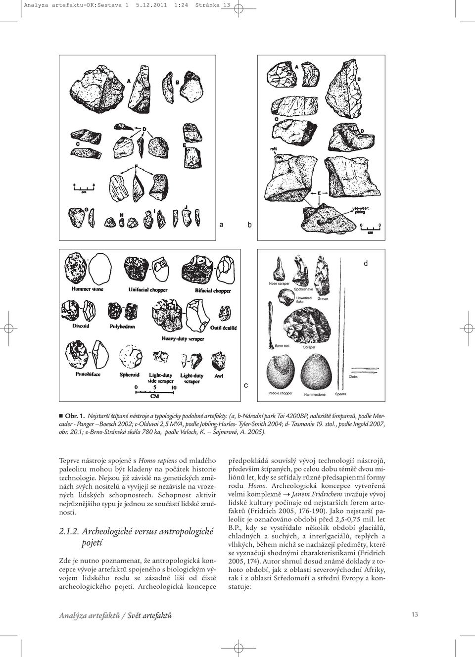 Šajnerová, A. 2005). Teprve nástroje spojené s Homo sapiens od mladého paleolitu mohou být kladeny na počátek historie technologie.