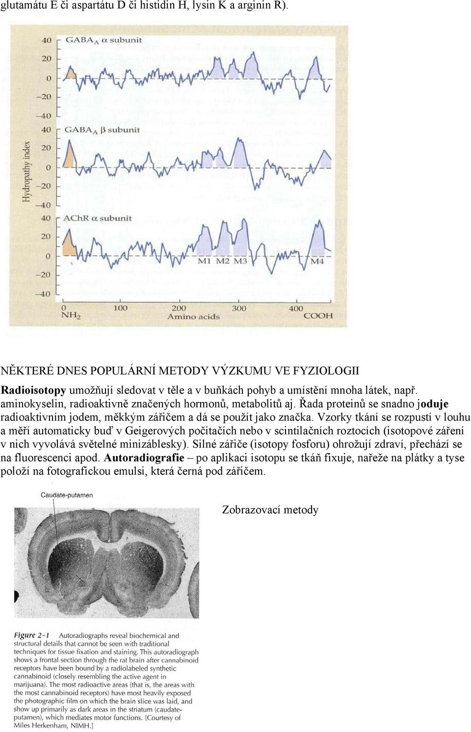 aminokyselin, radioaktivně značených hormonů, metabolitů aj. Řada proteinů se snadno joduje radioaktivním jodem, měkkým zářičem a dá se použít jako značka.