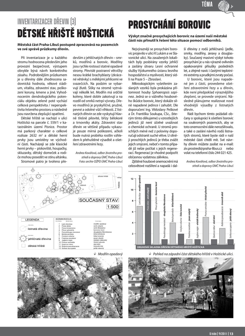 Podrobnějším průzkumem je u dřeviny dále zhodnocena sadovnická hodnota, věkové stádium, vitalita, zdravotní stav, poškození koruny, kmene a jiné.