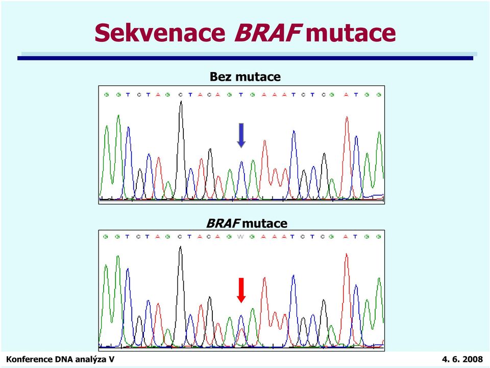 mutace Bez