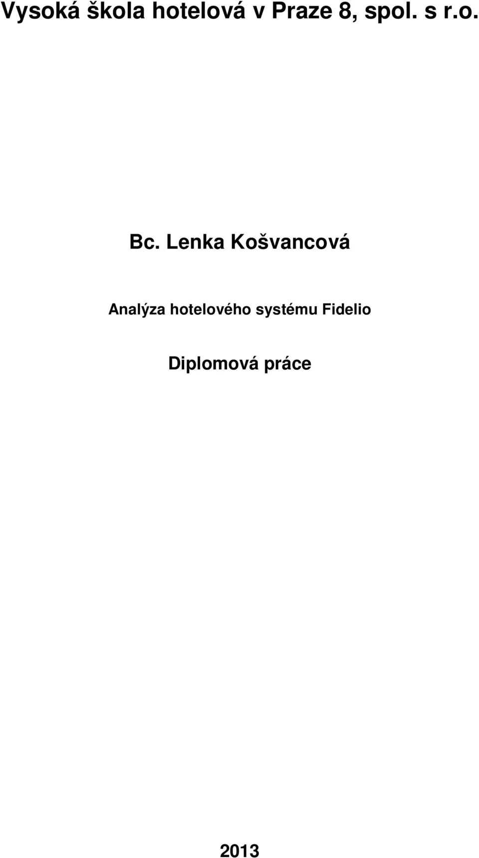 Lenka Košvancová Analýza