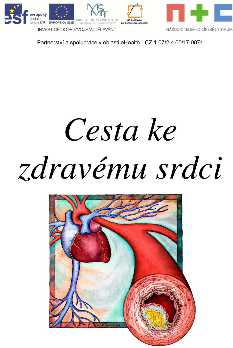 ehealth - CZ.1.07/2.4.