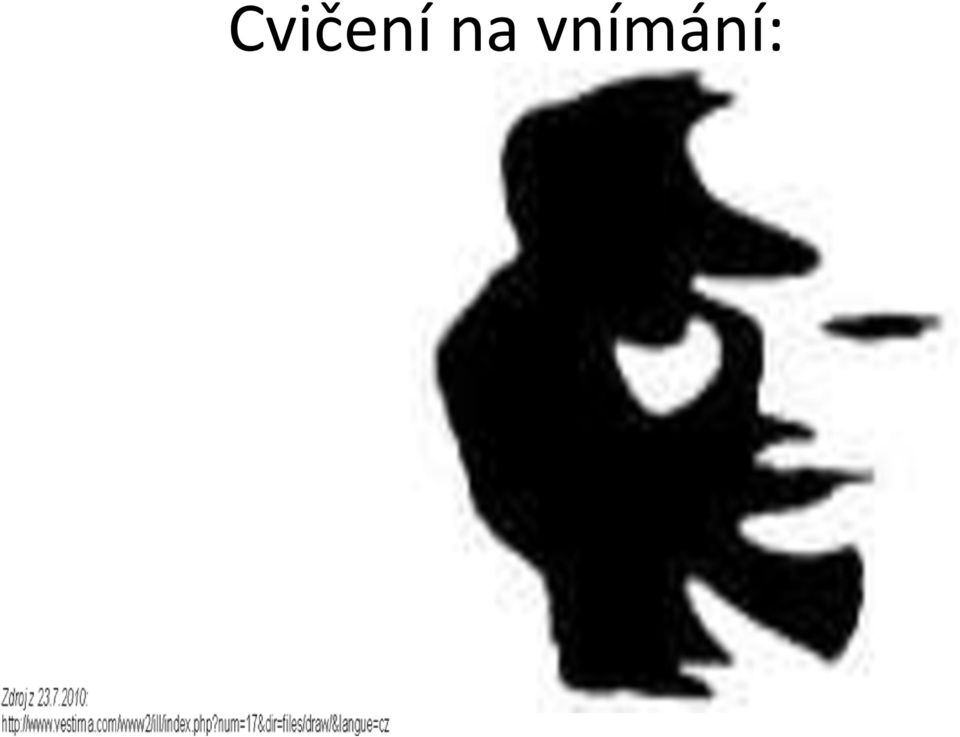 vnímání: