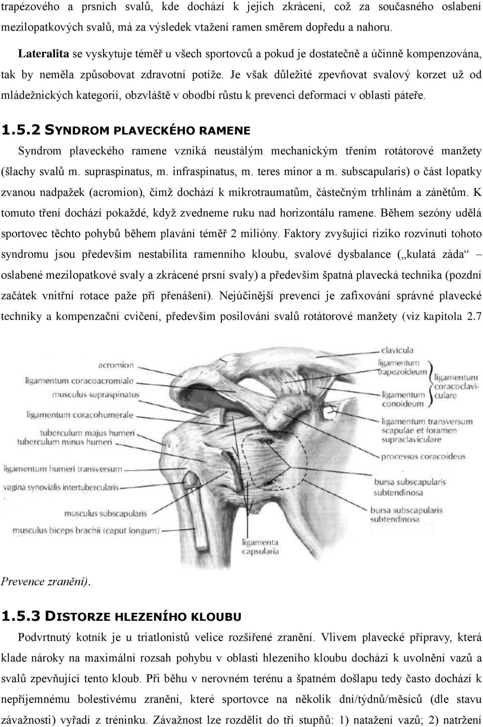 Je však důležité zpevňovat svalový korzet už od mládežnických kategorií, obzvláště v obodbí růstu k prevenci deformací v oblasti páteře. 1.5.