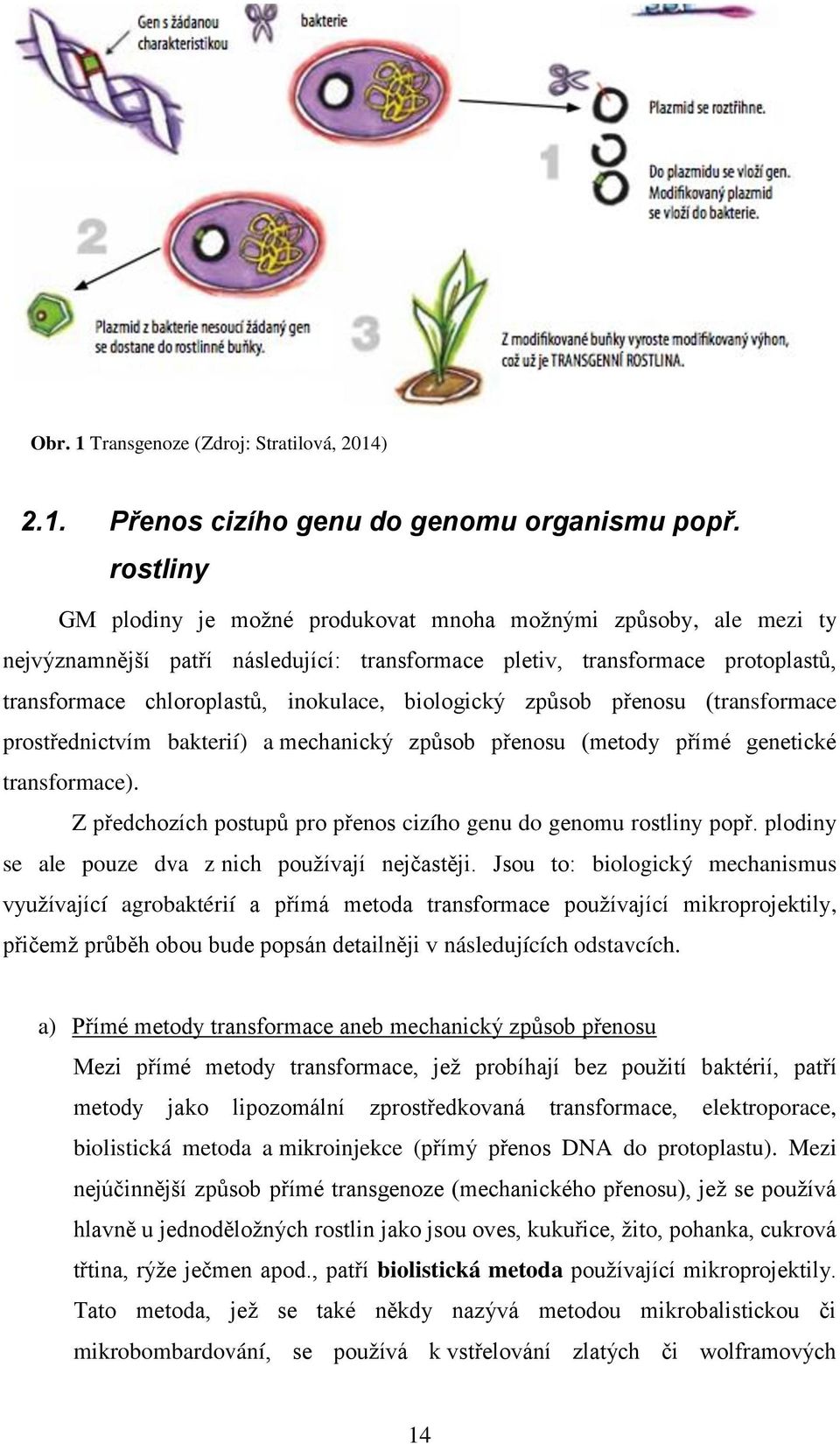 biologický způsob přenosu (transformace prostřednictvím bakterií) a mechanický způsob přenosu (metody přímé genetické transformace).