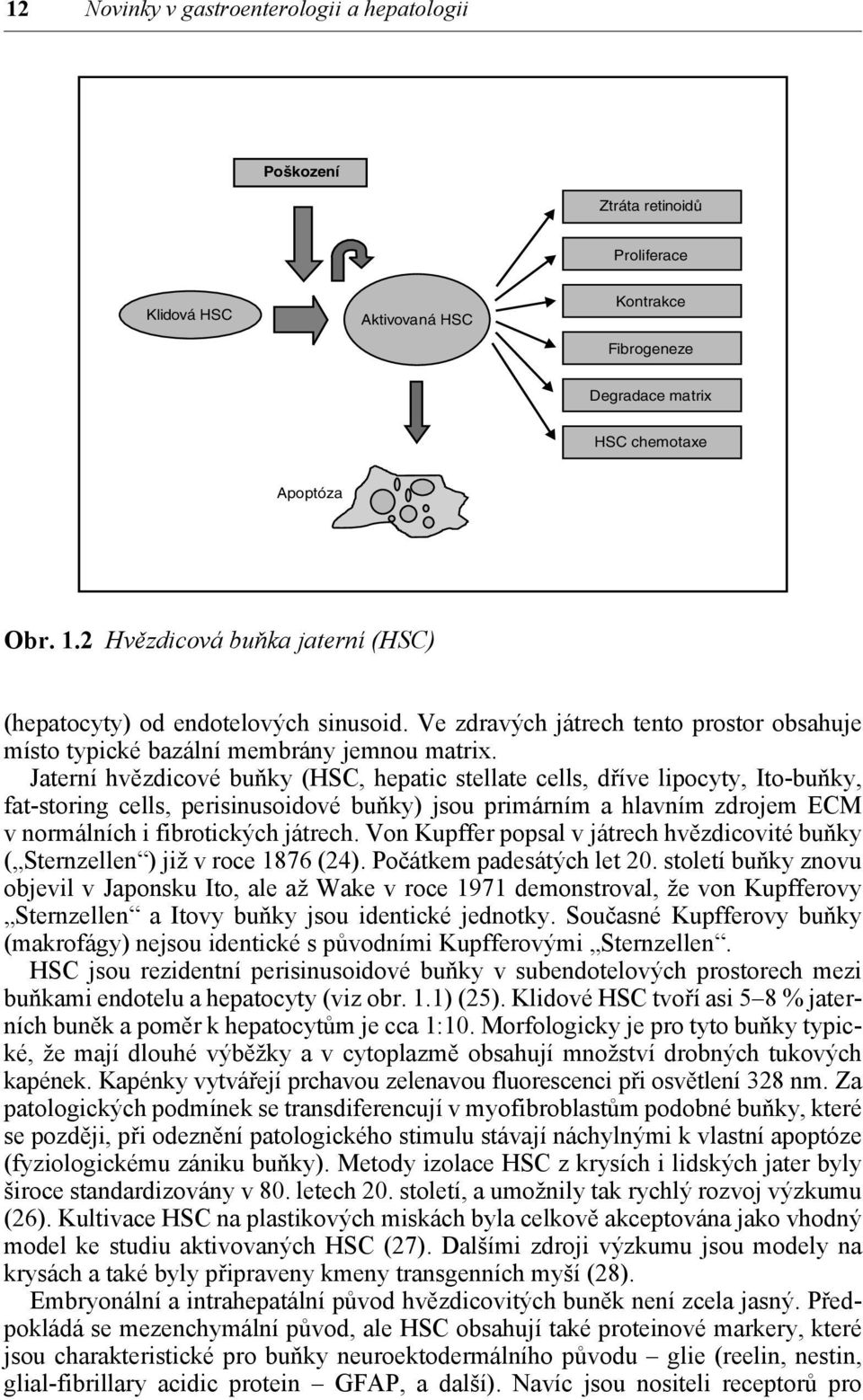 Jaterní hvězdicové buňky (HSC, hepatic stellate cells, dříve lipocyty, Ito-buňky, fat-storing cells, perisinusoidové buňky) jsou primárním a hlavním zdrojem ECM v normálních i fibrotických játrech.