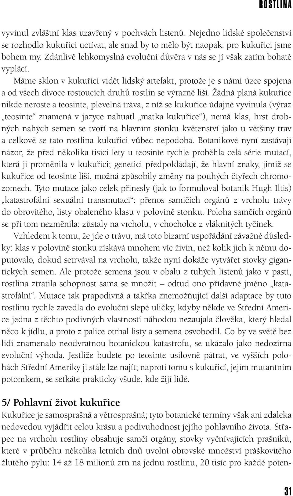 Máme sklon v kukuřici vidět lidský artefakt, protože je s námi úzce spojena a od všech divoce rostoucích druhů rostlin se výrazně liší.