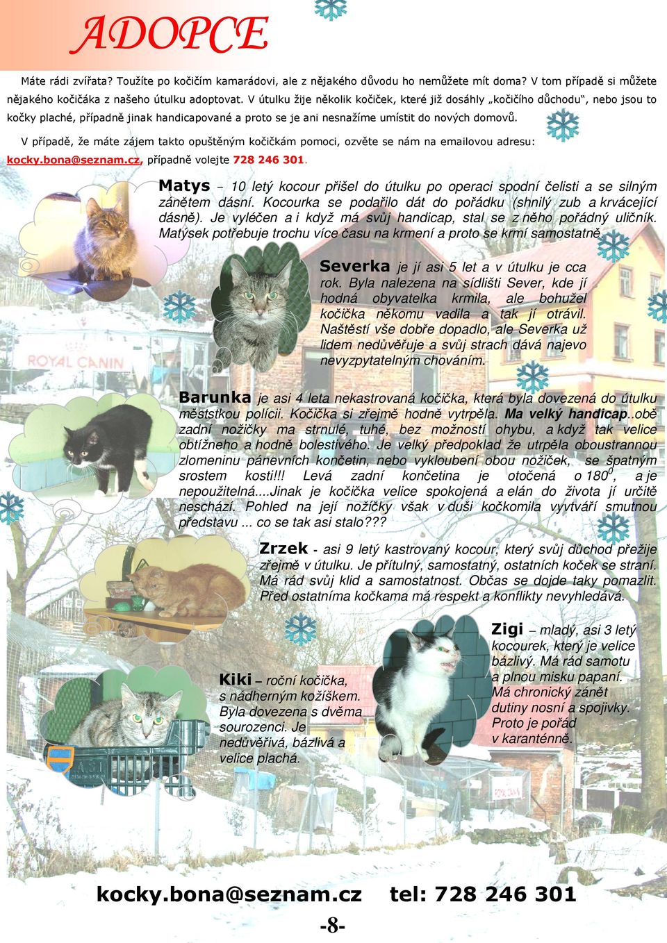 V případě, že máte zájem takto opuštěným kočičkám pomoci, ozvěte se nám na emailovou adresu: kocky.bona@seznam.cz, případně volejte 728 246 301.