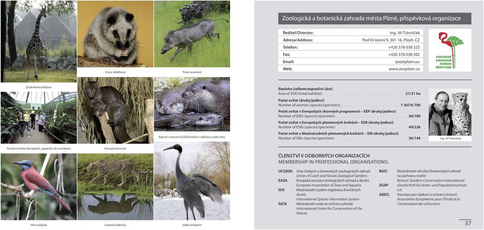 cz Žirafa Rothschildova Rozloha (celkem/expoziční část) Area of ZOO (total/exhibits).......................................21/21 ha Počet zvířat (druhy/jedinci) Number of animals (species/specimen).