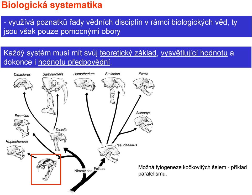 systém musí mít svůj teoretický základ, vysvětlující hodnotu a dokonce