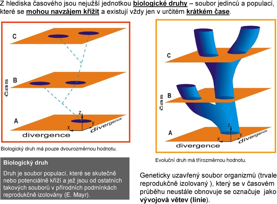 Biologický druh Druh je soubor populací, které se skutečně nebo potenciálně kříží a jež jsou od ostatních takových souborů v přírodních