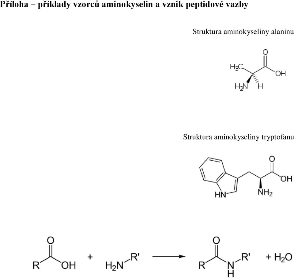 vazby Struktura aminokyseliny