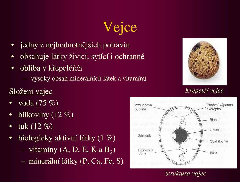 vajec voda (75 %) bílkoviny (12 %) tuk (12 %) biologicky aktivní látky (1 %)