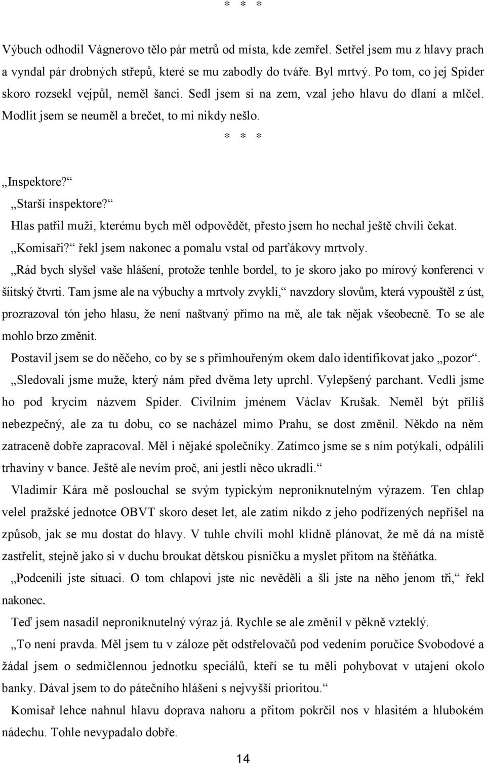 Hlas patřil muži, kterému bych měl odpovědět, přesto jsem ho nechal ještě chvíli čekat. Komisaři? řekl jsem nakonec a pomalu vstal od parťákovy mrtvoly.