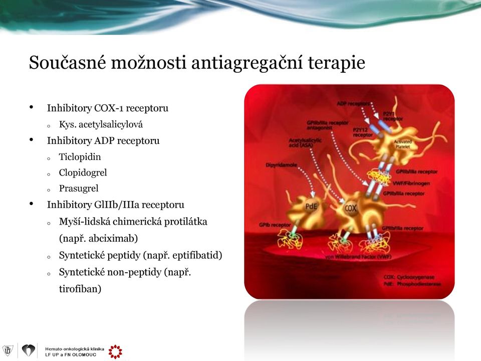 Inhibitry GlIIb/IIIa receptru Myší-lidská chimerická prtilátka (např.