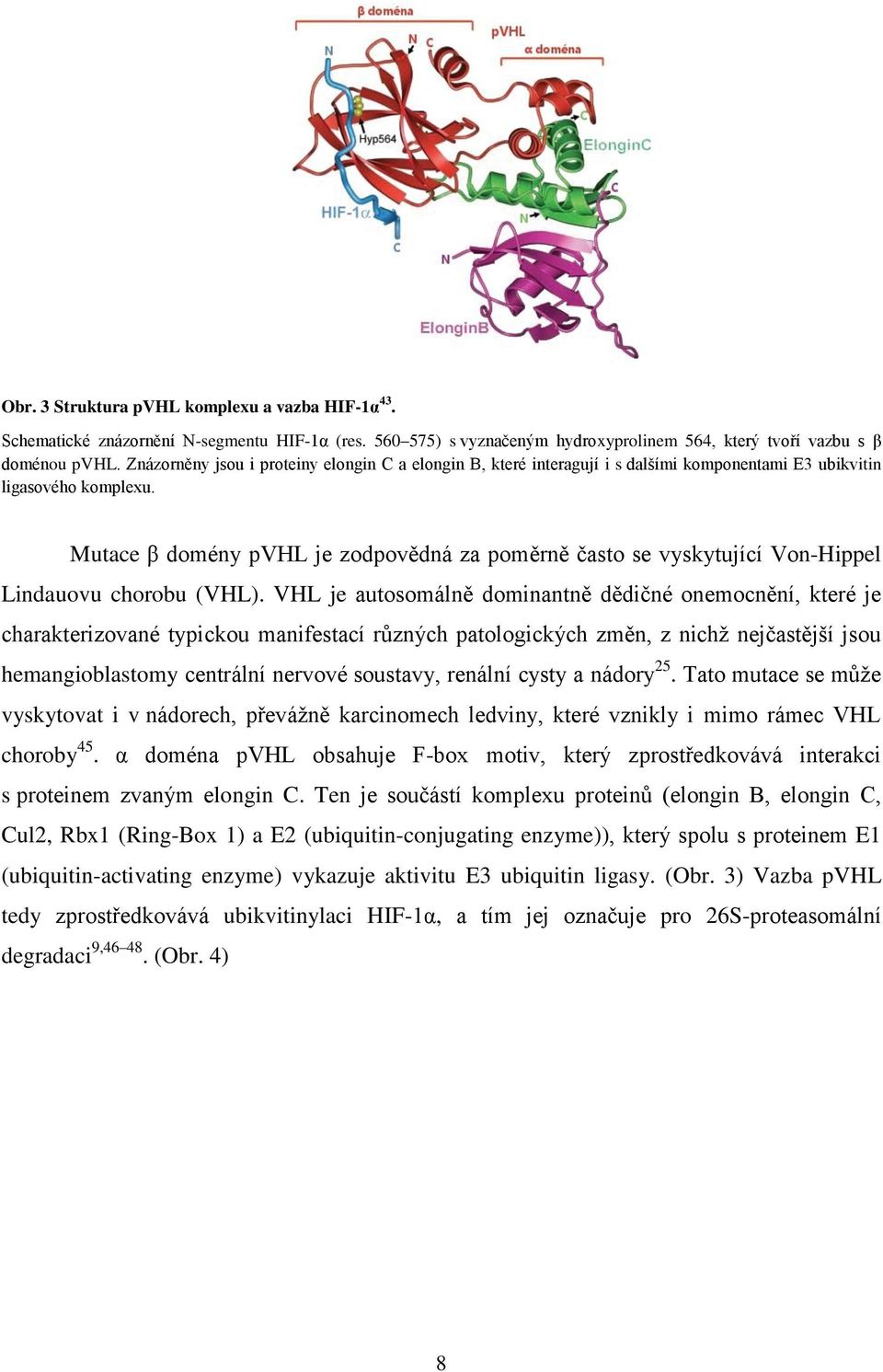 Mutace β domény pvhl je zodpovědná za poměrně často se vyskytující Von-Hippel Lindauovu chorobu (VHL).