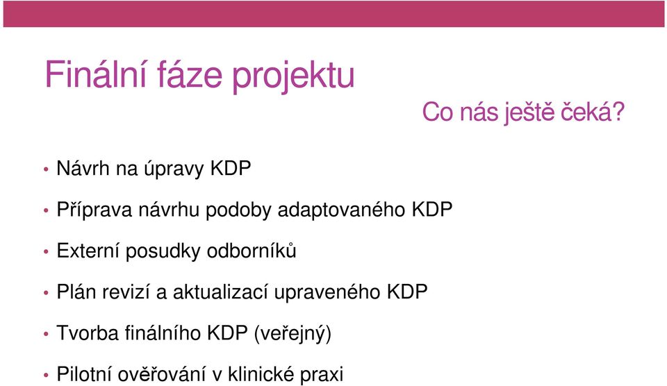 KDP Externí posudky odborníků Plán revizí a aktualizací