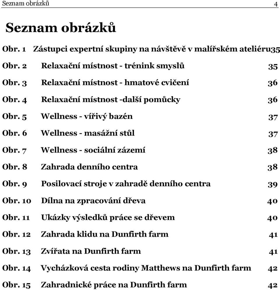 7 Wellness - sociální zázemí 38 Obr. 8 Zahrada denního centra 38 Obr. 9 Posilovací stroje v zahradě denního centra 39 Obr. 10 Dílna na zpracování dřeva 40 Obr.