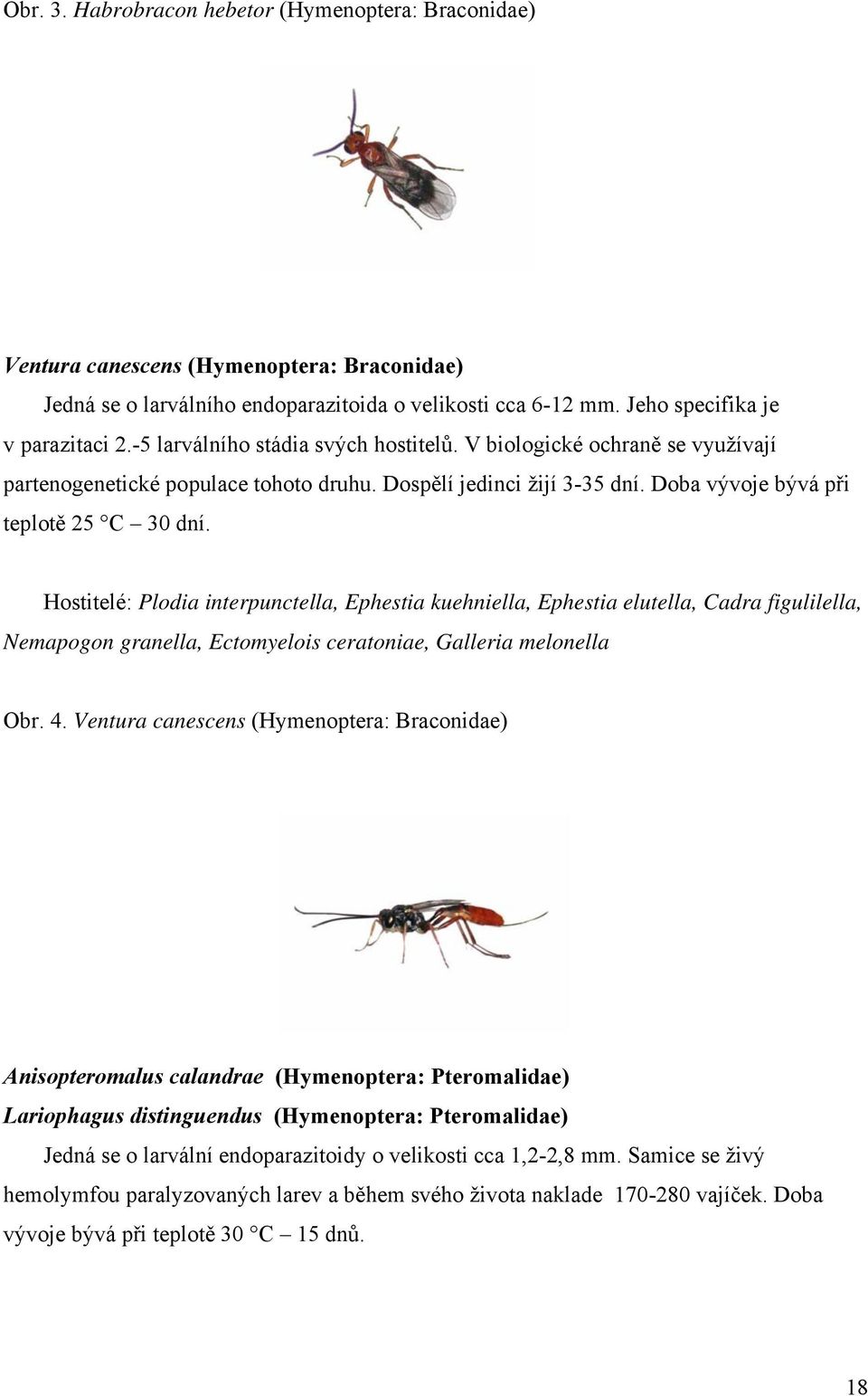 Hostitelé: Plodia interpunctella, Ephestia kuehniella, Ephestia elutella, Cadra figulilella, Nemapogon granella, Ectomyelois ceratoniae, Galleria melonella Obr. 4.