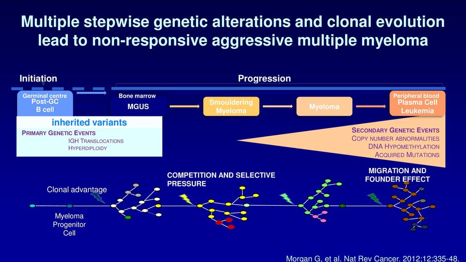 centre Post-GC B cell inherited variants PRIMARY GENETIC EVENTS IGH TRANSLOCATIONS HYPERDIPLOIDY Bone marrow MGUS Smouldering Myeloma Myeloma