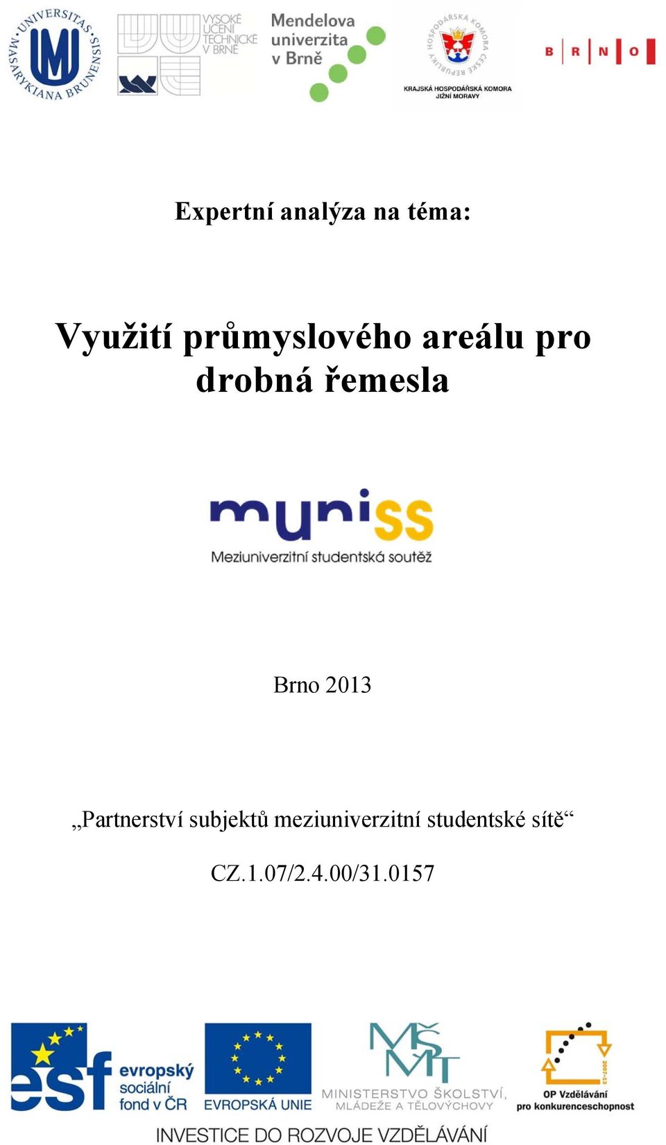 Brno 2013 Partnerství subjektů