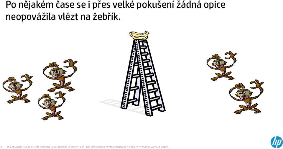 žádná opice