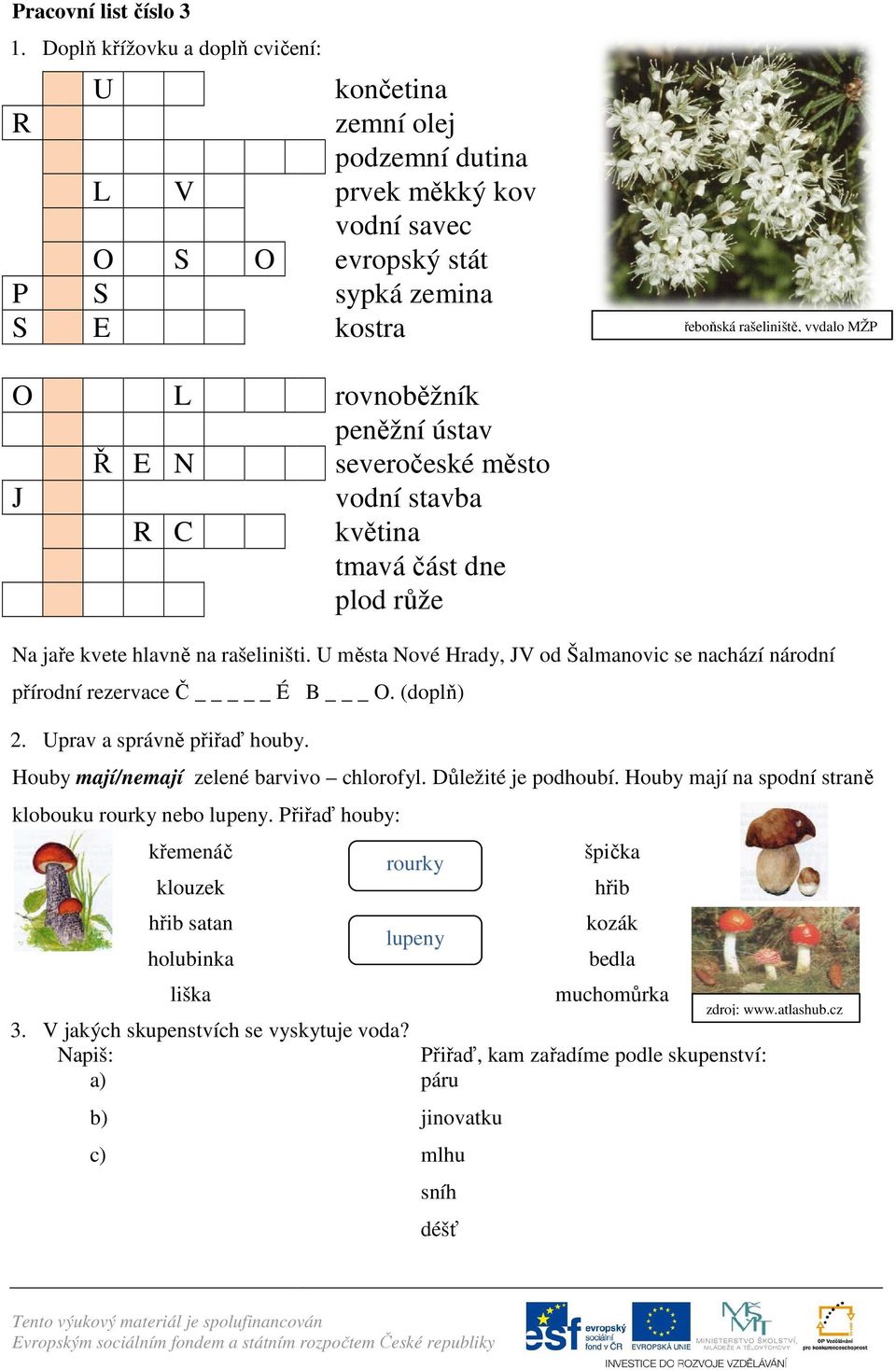 kostra zdroj: leták Třeboňská rašeliniště, vydalo MŽP B D É L N Í K rovnoběžník B A N K A peněžní ústav H Ř E N S K severočeské město J E Z vodní stavba N A R C I S květina N C tmavá část dne Š Í P E