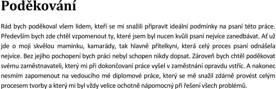 Ať už jde o moji skvělou maminku, kamarády, tak hlavně přítelkyni, která celý proces psaní odnášela nejvíce. Bez jejího pochopení bych práci nebyl schopen nikdy dopsat.