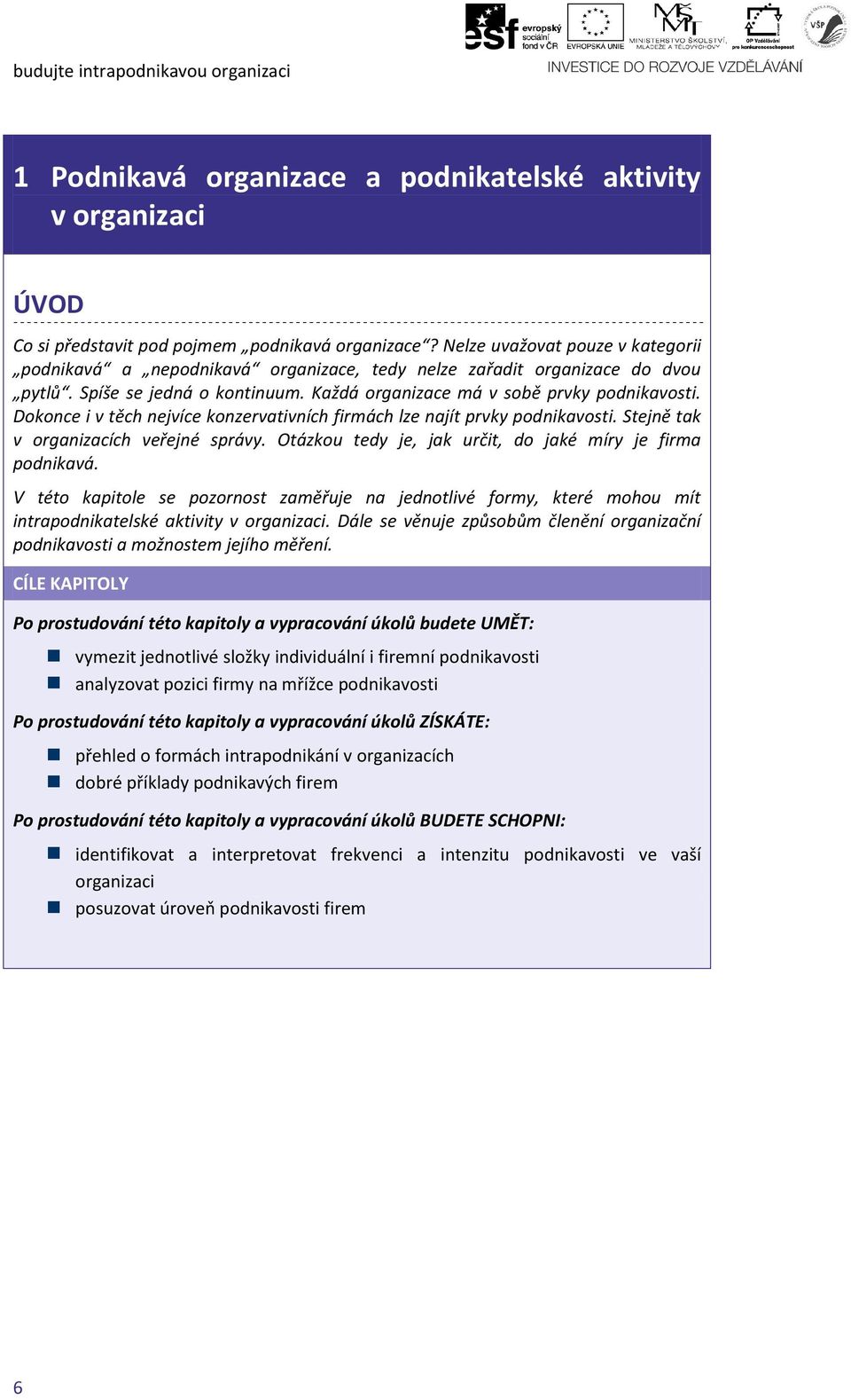 Dokonce i v těch nejvíce konzervativních firmách lze najít prvky podnikavosti. Stejně tak v organizacích veřejné správy. Otázkou tedy je, jak určit, do jaké míry je firma podnikavá.