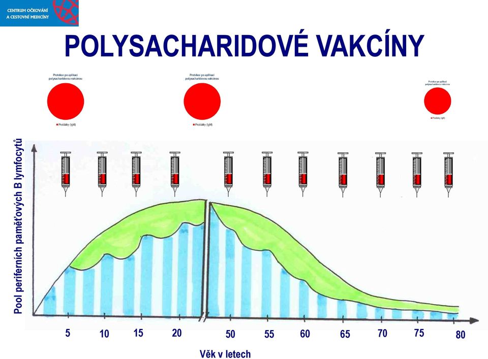 POLYSACHARIDOVÉ VAKCÍNY 5