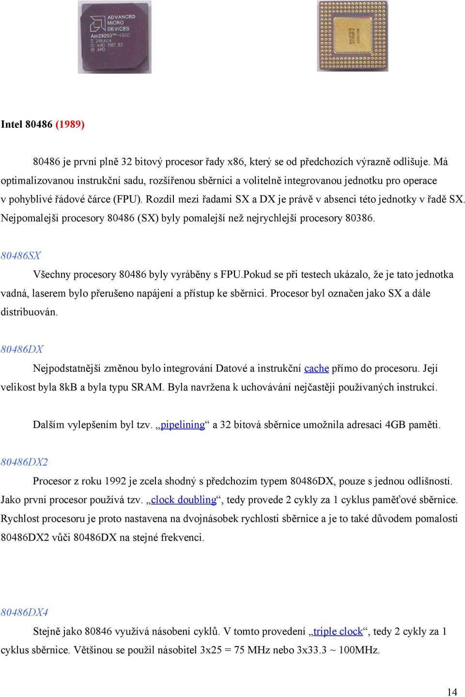 Rozdíl mezi řadami SX a DX je právě v absenci této jednotky v řadě SX. Nejpomalejší procesory 80486 (SX) byly pomalejší než nejrychlejší procesory 80386.