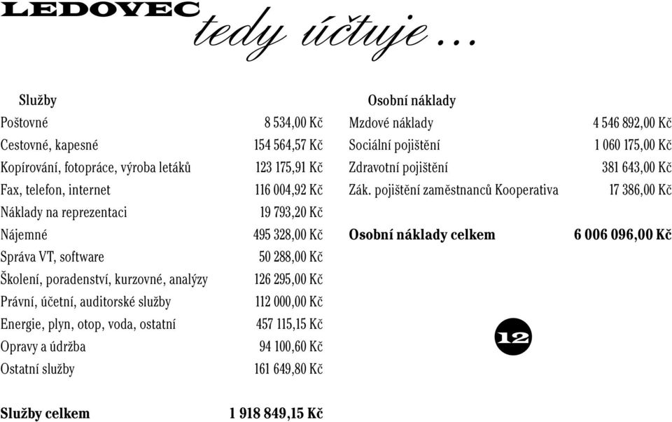 pojištění zaměstnanců Kooperativa 17 386,00 Kč Náklady na reprezentaci 19 793,20 Kč Nájemné 495 328,00 Kč Osobní náklady celkem 6 006 096,00 Kč Správa VT, software 50 288,00