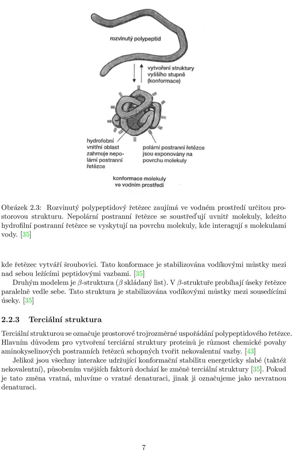 [35] kde řetězec vytváří šroubovici. Tato konformace je stabilizována vodíkovými můstky mezi nad sebou ležícími peptidovými vazbami. [35] Druhým modelem je β-struktura (β skládaný list).