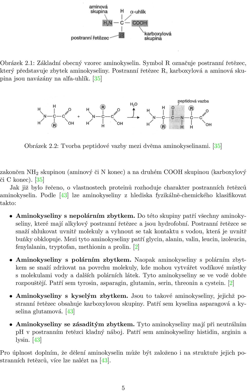 [35] zakončen NH 2 skupinou (aminový či N konec) a na druhém COOH skupinou (karboxylový či C konec).