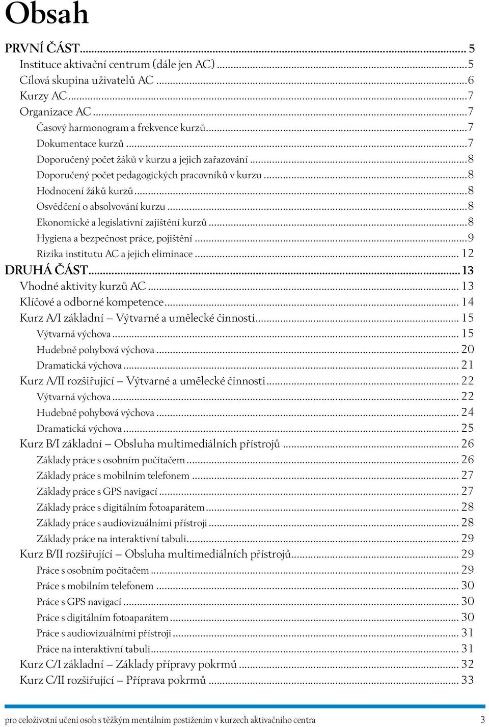 ..8 Ekonomické a legislativní zajištění kurzů...8 Hygiena a bezpečnost práce, pojištění...9 Rizika institutu AC a jejich eliminace... 12 Druhá část...13 Vhodné aktivity kurzů AC.