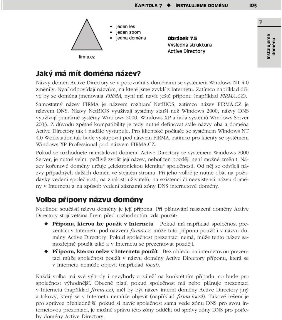 Zatímco například dříve by se doména jmenovala FIRMA, nyní má navíc ještě příponu (například FIRMA.CZ). Samostatný název FIRMA je názvem rozhraní NetBIOS, zatímco název FIRMA.CZ je názvem DNS.