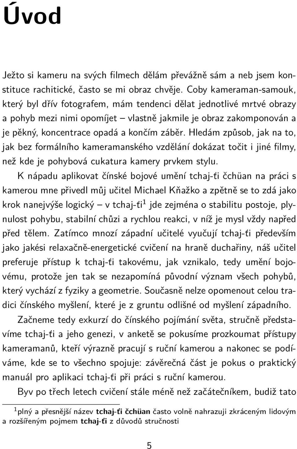 záběr. Hledám způsob, jak na to, jak bez formálního kameramanského vzdělání dokázat točit i jiné filmy, než kde je pohybová cukatura kamery prvkem stylu.