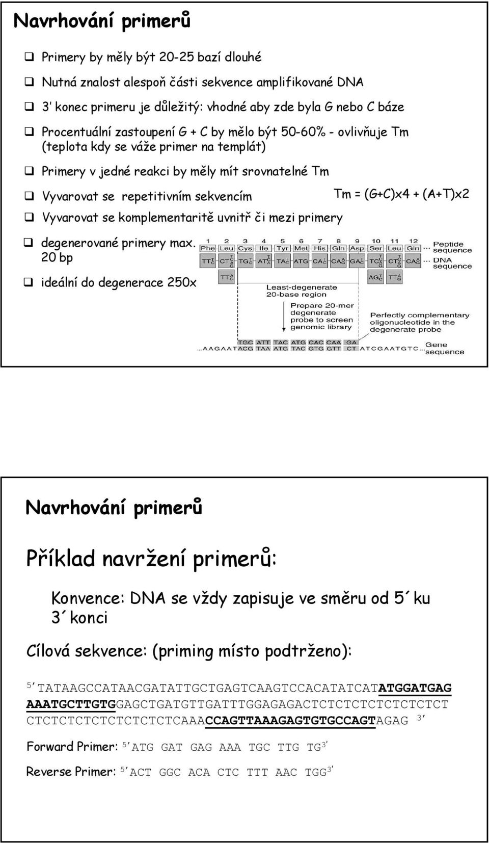 se komplementaritě uvnitř či mezi primery degenerované primery max.