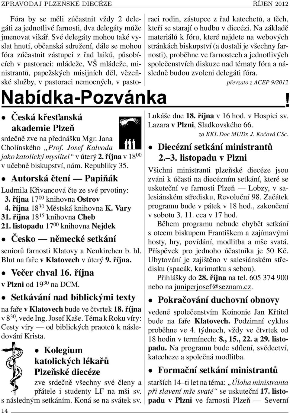 vězeňské služby, v pastoraci nemocných, v pastoraci rodin, zástupce z řad katechetů, a těch, kteří se starají o hudbu v diecézi.