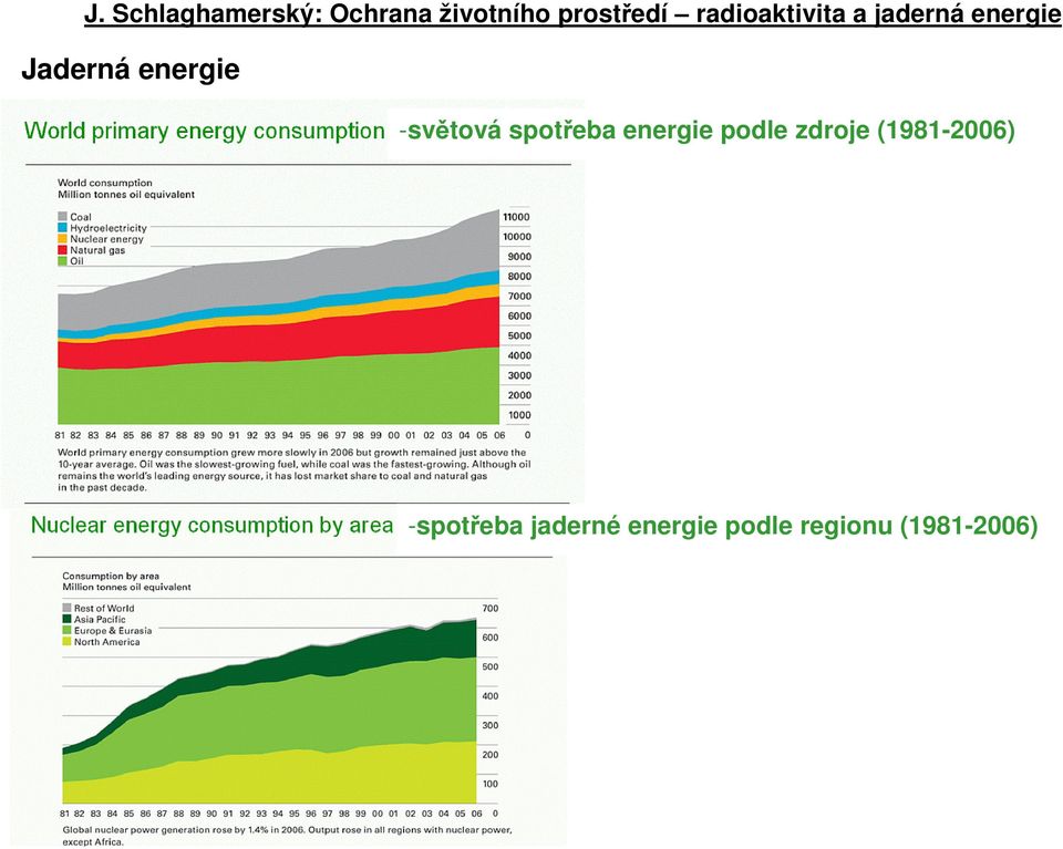 (1981-2006) -spotřeba jaderné