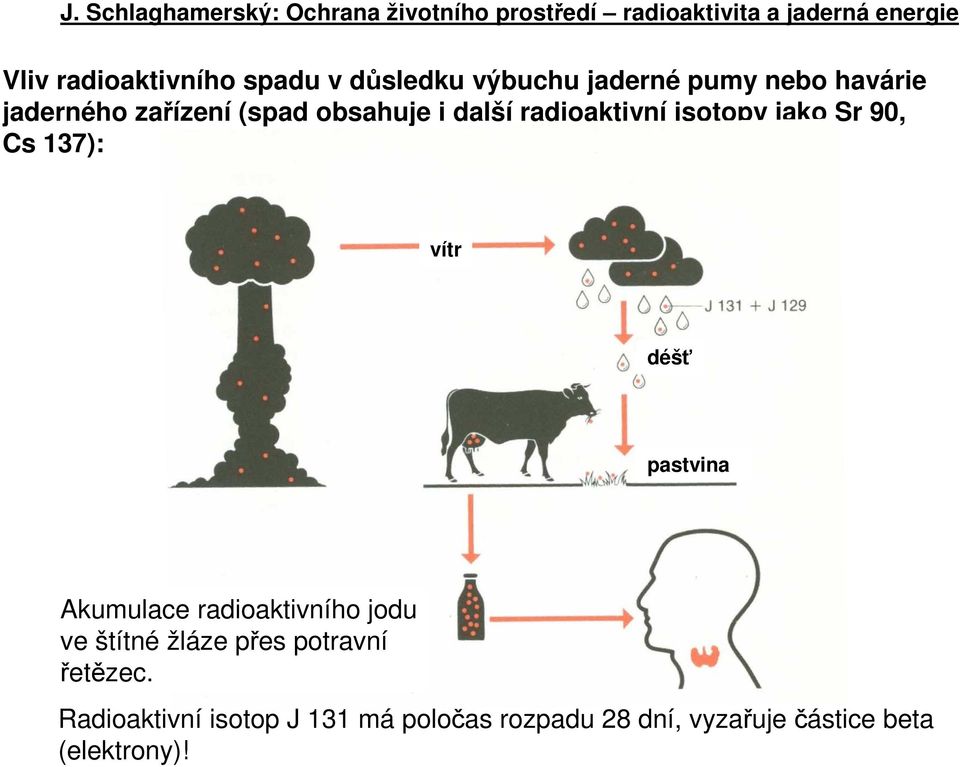 déšť pastvina Akumulace radioaktivního jodu ve štítné žláze přes potravní řetězec.