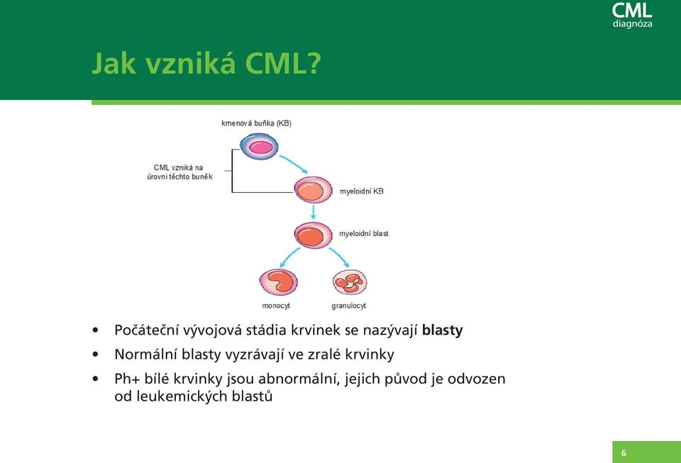 blasty Normální blasty vyzrávají ve zralé