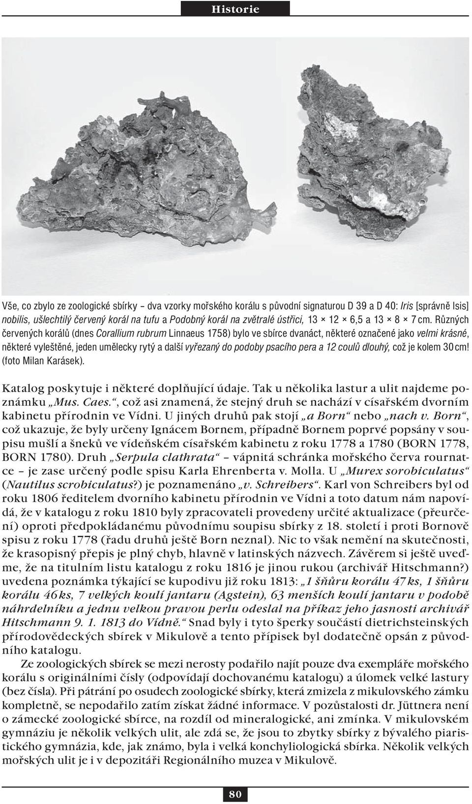 Různých červených korálů (dnes Corallium rubrum Linnaeus 1758) bylo ve sbírce dvanáct, některé označené jako velmi krásné, některé vyleštěné, jeden umělecky rytý a další vyřezaný do podoby psacího