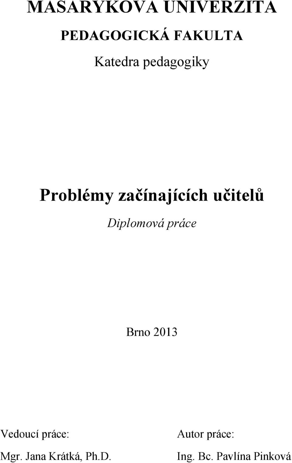 Diplomová práce Brno 2013 Vedoucí práce: Mgr.